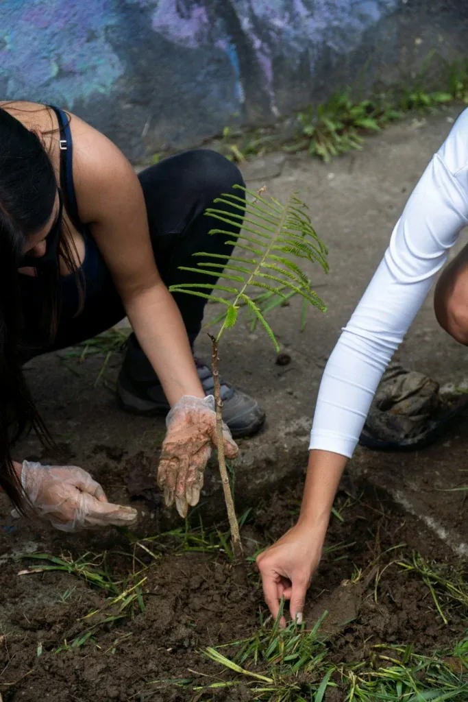 Petit groupe qui plante un arbre ensemble dans un jardin communautaire